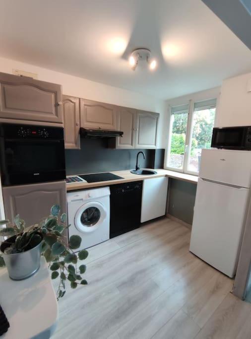 Duplex Cosy Gonesse
